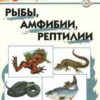 ШС Рыбы, амфибии, рептилии Вако 3 ШС Рыбы, амфибии, рептилии Вако