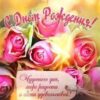 Открытка-поздравление С Днем рождения! 52.479 3 Открытка-поздравление С Днем рождения! 52.479