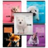 Тетрадь 12 л. BRAUBERG, клетка, обложка картон, CUTE ANIMALS, 107266 2 Тетрадь 12 л. BRAUBERG, клетка, обложка картон, CUTE ANIMALS, 107266