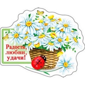Магнит виниловый Хорошо 615 Радости, любви, удачи!