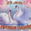 Открытка 37383 С Днем Свадьбы! м-г 197*290 3 Открытка 37383 С Днем Свадьбы! м-г 197*290