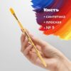 Кисть ПИФАГОР, СИНТЕТИКА, плоская, № 09, деревянная лакированнаяручка, с колпачком, пакет с подвесом 3 Кисть ПИФАГОР, СИНТЕТИКА, плоская, № 09, деревянная лакированнаяручка, с колпачком, пакет с подвесом