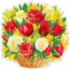 Плакт на скотче 2 Плакт на скотче