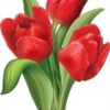 Плакат на скотче3 3 Плакат на скотче3