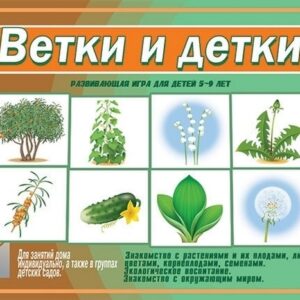Демонстрационный материал Ветки и детки