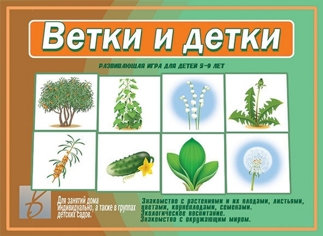 Демонстрационный материал Ветки и детки 1 Демонстрационный материал Ветки и детки
