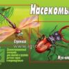Демонстрационный материал Насекомые 3 Демонстрационный материал Насекомые