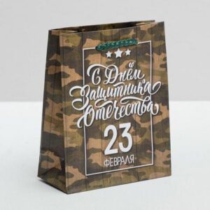 Пакет ламинированный вертикальный «Поздравляю с 23 Февраля», S 12 × 15 × 5,5 см 2557297