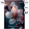 Записная книжка А7 7БЦ 64л Проф-Пресс Красивый цветок, клетка, обложка - глянцевый ламинированный картон, сшивка, офсет 3 Записная книжка А7 7БЦ 64л Проф-Пресс Красивый цветок, клетка, обложка - глянцевый ламинированный картон, сшивка, офсет
