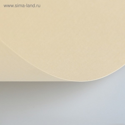 Бумага для пастели В1 (700*1000) 1л 160г/м2 Lana Colours 15011565 кремовый 1 Бумага для пастели В1 (700*1000) 1л 160г/м2 Lana Colours 15011565 кремовый
