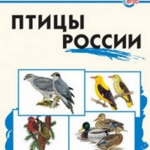 ШС Птицы России Вако