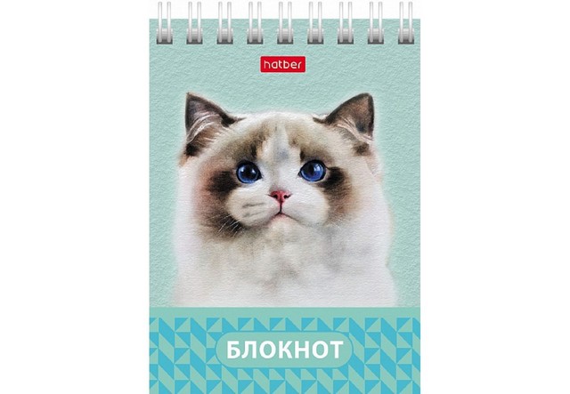 Блокнот А7 (75*105) 40л клетка дв спир обл мягк карт Hatber Глазки, ушки, носик перф 40Б7В1гр ассорт 1 Блокнот А7 (75*105) 40л клетка дв спир обл мягк карт Hatber Глазки, ушки, носик перф 40Б7В1гр ассорт