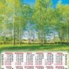 Плакат А2 (2025) Природа. Берёзки ПО-25-191 3 Плакат А2 (2025) Природа. Берёзки ПО-25-191