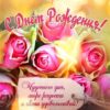 Открытка-поздравление С Днем рождения! 019.466 3 Открытка-поздравление С Днем рождения! 019.466