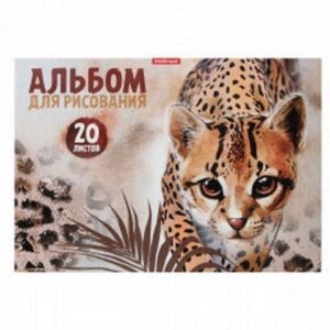 Альбом для рисования 20л склейка обл мел картон Erich Krause Wild Cat 49829