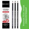 Карандаши угольные BRAUBERG ART CLASSIC, НАБОР 12 шт, заточенные,(МЯГКИЙ, СРЕДНИЙ, ТВЕРДЫЙ), 181293 3 Карандаши угольные BRAUBERG ART CLASSIC, НАБОР 12 шт, заточенные,(МЯГКИЙ, СРЕДНИЙ, ТВЕРДЫЙ), 181293