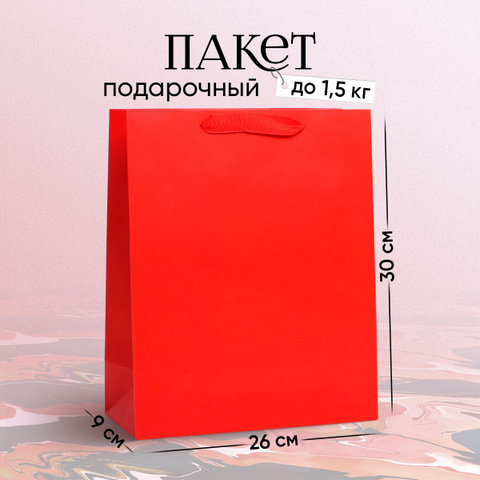 Пакет подарочный ЗИМА 26*32*11см цветной с рисунком 1 Пакет подарочный ЗИМА 26*32*11см цветной с рисунком