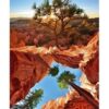 Тетрадь А4 48л БиДжи линия Canyon, на скобе 3 Тетрадь А4 48л БиДжи линия Canyon, на скобе