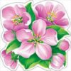 Украшение на скотче Цветы яблони 88.033 2 Украшение на скотче Цветы яблони 88.033