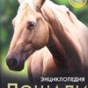 ЭНЦИКЛОПЕДИЯ. ХОЧУ ЗНАТЬ. лошади 3 ЭНЦИКЛОПЕДИЯ. ХОЧУ ЗНАТЬ. лошади