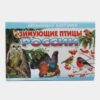 Обучающая карточка ПТИЦЫ РОССИИ 5-14-0015 3 Обучающая карточка ПТИЦЫ РОССИИ 5-14-0015