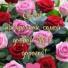 Открытка Поздравляю! Самой красивой! 2700479 2 Открытка Поздравляю! Самой красивой! 2700479