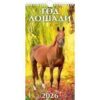 Календарь настен. перекид.с ригелем (2026) Ш (4610138648980)(0626010) (20%) Год лошади. Вид 2 (165*320). 2 Календарь настен. перекид.с ригелем (2026) Ш (4610138648980)(0626010) (20%) Год лошади. Вид 2 (165*320).
