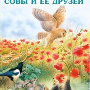 Книжка ИС. Приключения совы и её друзей