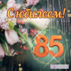 Открытка С Юбилеем! 85 лет 23-4164-тк 3 Открытка С Юбилеем! 85 лет 23-4164-тк